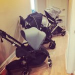 Jackie Oliva - @crazystrollerlady - Instagram