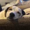 Jackie Olson - @mazzythesnugg - TikTok