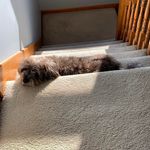 Jackie Oswald - @jackie.oswald.57 - Instagram