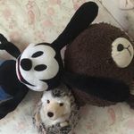 Jackie&Oswald&刺蝟先生 - @jackie_osward - Instagram