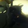 Jackie Otto - @jackie.otto6 - TikTok