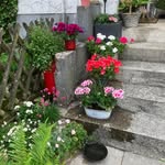 Jackie Otto - @jackie_otto73 - Instagram