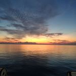 Jackie Pace - @jackie.pace.777 - Instagram