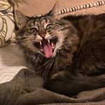 Jackie Pace - @jackiepace6 - Instagram