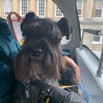 Jackie Pease - @squeezy_jack - Instagram