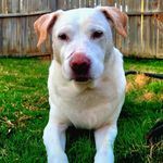 Jackie Pease Maniatis - @jpfhfghj - Instagram