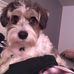Jacqueline Pelletier - Facebook