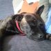 Jacqui Penn - Facebook