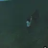 Jackie Peralta - @jackie.peralta69 - TikTok