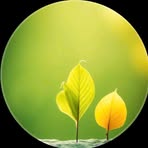 Jacki Pham - Facebook