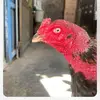 JackiePham78 - @jackiepham78 - TikTok