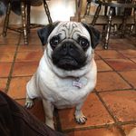 Jackie Phelps - @jacqueline_phelps - Instagram
