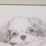Jackie phelps - @jackies4scrapbooking - Instagram