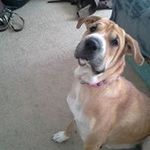 Jackie Phelps - @jkay_bug - Instagram