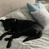 Jack plumley - @jack.plumley - TikTok