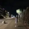 Jack Plumley - @japlumley - TikTok