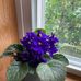 Jackie Ellen Dunbar Plumley - Facebook