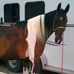 Jackie McFerrin Pointer - @jackie.m.pointer - Instagram