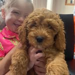Jackie Power - @jackiepower9 - Instagram