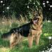 Jackie Power - Facebook
