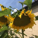 Jackie Power - @jackie.power.3766 - Instagram