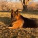 Jackie Presnell - Facebook