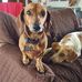 Jackie Prince - Facebook