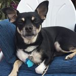 Jackie Proctor - @proctor3602 - Instagram