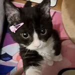Jackie Proctor - @damnjaxx - Instagram