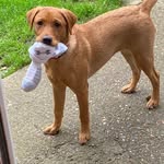 Jackie proctor - @jackieproctor53 - Instagram