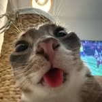 Jack Prout - @jackp2599 - Instagram