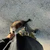 Jac Putman - @jacputman - TikTok