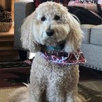 Jackie Edwards Rackley - @jollyjackie12 - Instagram