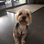 Jackie Ralston - @ralston.jackie - Instagram