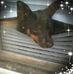 Jackie Rash - Facebook