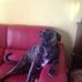 Jackie Rayner - Facebook