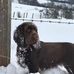 Jackie Reid - @jackiereid387 - Instagram