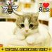 Jackie Reid - Facebook
