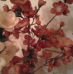Jackie Render - Facebook