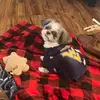 jackierenner0 - @jackierenner0 - TikTok