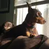 Jackie Repanti - @jackierepanti - TikTok