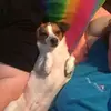 Jackie Berg - @jackieberg4 - TikTok