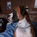Jackie Lynn Rettig - Facebook