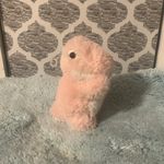 Jackie the T-Rex - @jackie_the_t_rex - Instagram