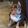 jackiezandtrex - @jackiezandtrex - TikTok
