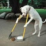 Jackie Rich - @forensictherapist - Instagram