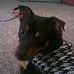 Jackie Risner - Facebook