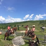 Jackie Roach - @jackieroach71 - Instagram