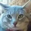 Jackie Robert - @harhar496127 - TikTok