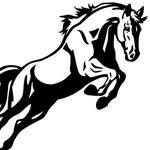 Jackie Roberts Saddlery - @jackierobertssaddlery - Instagram